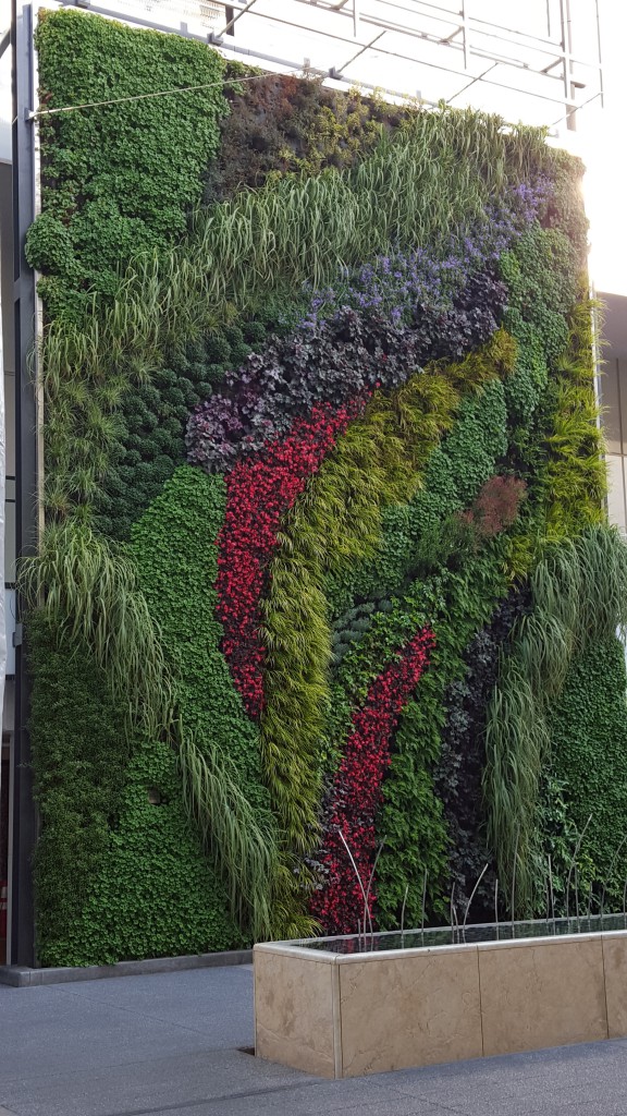   A "LIVING" WALL OF PLANTS IN LA